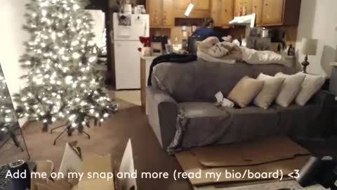 Snapshot of adorable22 chatting on December 17, 2024, 2:12 am adorable22 online show from December 17, 2024, 2:12 am