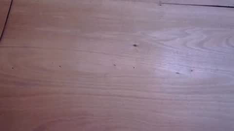 Snapshot of adriannahilcums chatting on August 2, 2026, 6:56 am jasmine cum for u online show from August 2, 2026, 6:56 am
