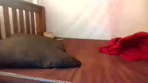 Snapshot of african_princess27 chatting on July 21, 2026, 5:43 am i wish to be someones real princess online show from July 21, 2026, 5:43 am