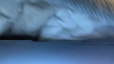 Agent Action Jackson online show from January 8, 2025, 4:34 am