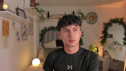 Snapshot of aidan_hale chatting on November 23, 2025, 8:19 pm A H online show from November 23, 2025, 8:19 pm