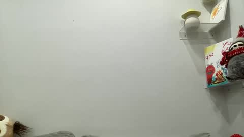 Snapshot of ailebun chatting on December 29, 2024, 3:54 am Aile online show from December 29, 2024, 3:54 am