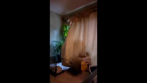 ajiii1313 online show from April 3, 2026, 11:41 am