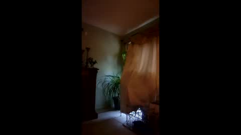 ajiii1313 online show from April 4, 2026, 9:34 pm