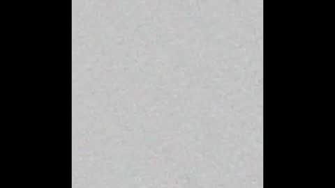 Alaia online show from October 9, 2025, 11:19 am