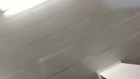 Maeve  online show from December 29, 2024, 10:45 am