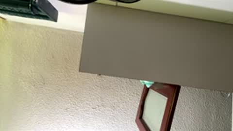 isabella online show from February 26, 2026, 1:10 pm