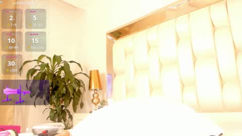       online show from December 7, 2024, 2:53 am