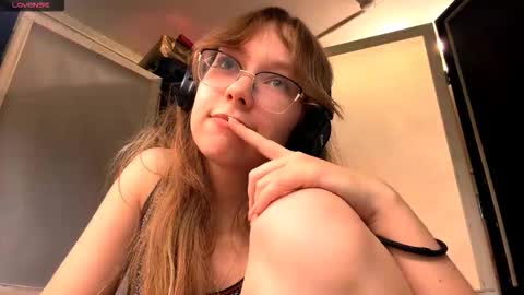 Stella online show from November 19, 2025, 3:23 pm