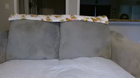 Snapshot of alannarack chatting on February 26, 2025, 2:14 pm Alanna Rack online show from February 26, 2025, 2:14 pm