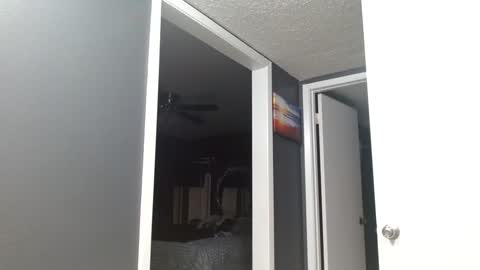 Alanna Rack online show from March 16, 2026, 1:15 pm