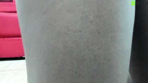 Snapshot of alejandra_dunn chatting on January 13, 2025, 1:39 pm Alejandra online show from January 13, 2025, 1:39 pm