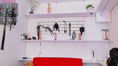 Snapshot of alejandra_dunn chatting on February 2, 2025, 1:08 pm Alejandra online show from February 2, 2025, 1:08 pm