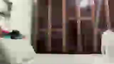 Snapshot of alessandromori91 chatting on June 15, 2026, 12:13 am alessandromori91 online show from June 15, 2026, 12:13 am