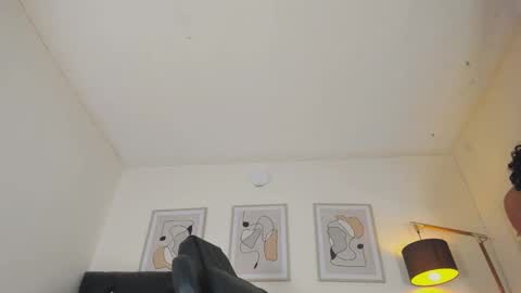 Snapshot of alex4diaz chatting on December 8, 2024, 6:17 pm Alexa online show from December 8, 2024, 6:17 pm