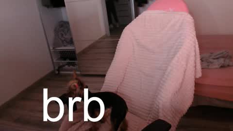 Snapshot of alex_gotcha chatting on September 21, 2025, 9:27 pm Alex online show from September 21, 2025, 9:27 pm