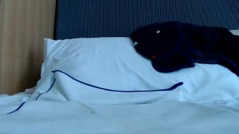 Snapshot of alex_nicha chatting on June 13, 2026, 6:33 am Nicha online show from June 13, 2026, 6:33 am