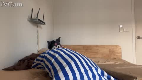 Snapshot of alexfilmx chatting on October 16, 2025, 7:31 am alexfilmx online show from October 16, 2025, 7:31 am