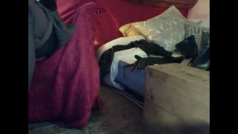 Snapshot of alexischat chatting on September 25, 2025, 4:16 am alexischat online show from September 25, 2025, 4:16 am