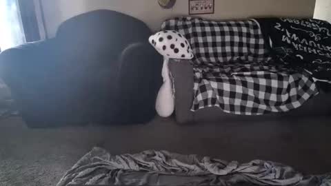 alice_leray online show from May 26, 2026, 10:50 pm