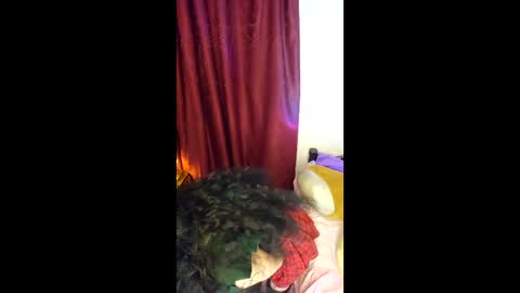 Alicekingdom online show from February 8, 2026, 12:03 am