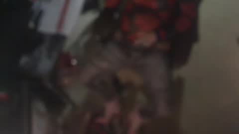 aliceleemcgee online show from February 22, 2026, 10:36 am