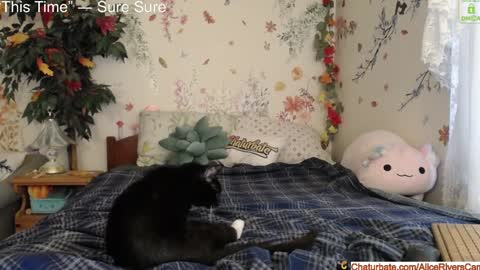 Alice Rivers ---- Enter my public Discord-  online show from January 18, 2025, 8:40 pm