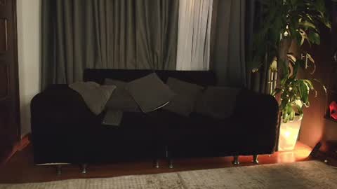 aliciawonderxx online show from June 10, 2026, 12:33 am
