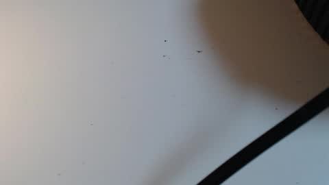 Snapshot of alid_17 chatting on February 16, 2026, 5:31 pm Alid 17 online show from February 16, 2026, 5:31 pm