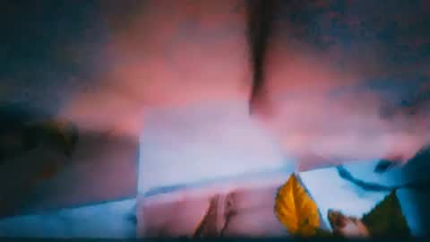 Snapshot of alinafrey_ chatting on June 29, 2026, 3:23 pm Alina online show from June 29, 2026, 3:23 pm