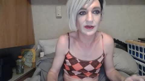 Alisha online show from June 4, 2026, 3:01 am