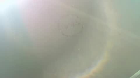 ALISON WOOD online show from November 17, 2025, 3:07 pm