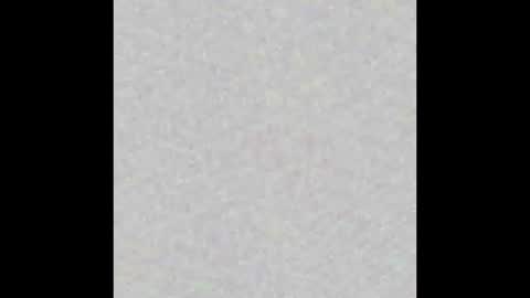 alissonmartin online show from October 11, 2025, 11:09 am