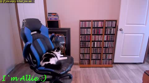 Snapshot of alliekat62 chatting on December 29, 2024, 7:22 pm Allie online show from December 29, 2024, 7:22 pm