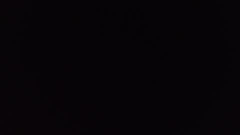 Allisson online show from November 22, 2025, 3:49 am