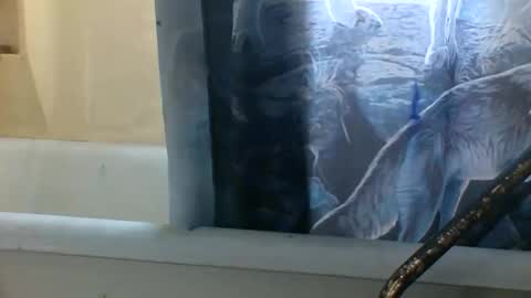 Snapshot of allwolf0323 chatting on November 6, 2025, 3:24 pm allwolf0323 online show from November 6, 2025, 3:24 pm