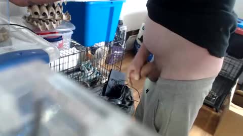 allwolf0323 online show from April 14, 2026, 4:02 pm