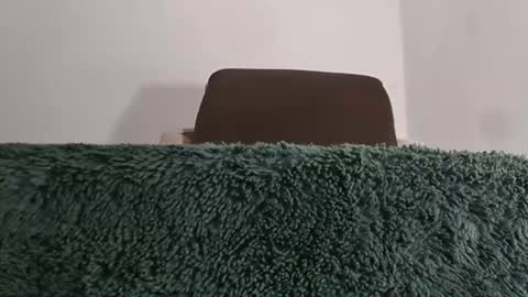 alotofcream4u online show from July 11, 2026, 6:05 am