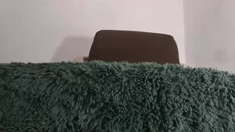 alotofcream4u online show from July 17, 2026, 2:29 am