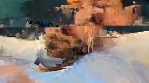 Snapshot of alpachino7777 chatting on February 19, 2025, 5:27 pm alpachino7777 online show from February 19, 2025, 5:27 pm