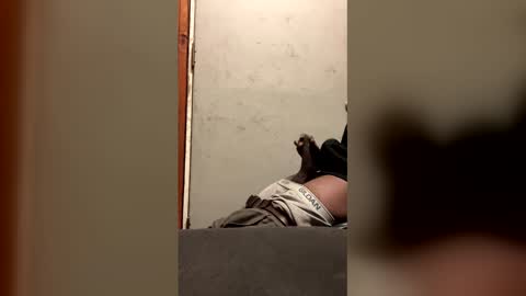 alwayshorny240177 online show from February 13, 2026, 4:47 pm