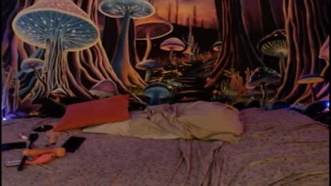 alyssaarcane online show from April 1, 2026, 12:55 am