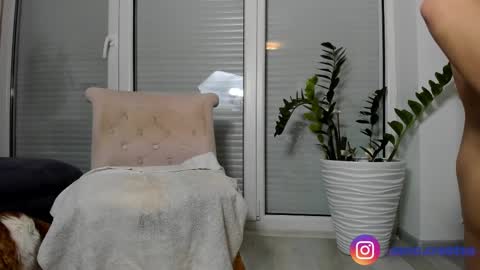 Snapshot of amalianilsson chatting on February 12, 2025, 5:58 pm Amalia Nilsson online show from February 12, 2025, 5:58 pm