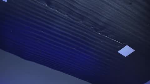 Emily online show from January 14, 2025, 2:22 pm