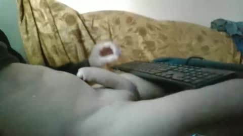 amazingcuteboy845 online show from September 29, 2025, 1:16 pm