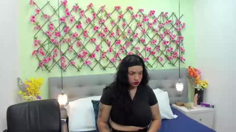 ambar85 online show from November 22, 2025, 3:49 am