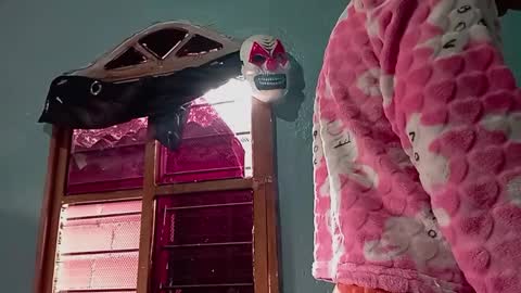 Amelia  Lucas online show from November 14, 2025, 3:44 pm