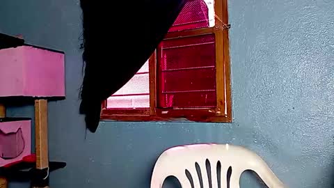 Amelia  Lucas online show from November 17, 2025, 3:18 pm