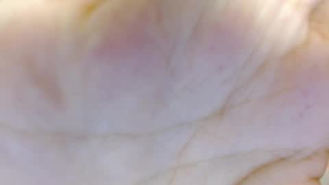 Snapshot of amelia_fry chatting on March 5, 2025, 4:24 am amelia_fry online show from March 5, 2025, 4:24 am