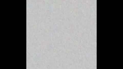 Amelia PVT model online show from March 2, 2025, 4:42 pm